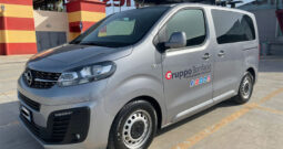 vivaro