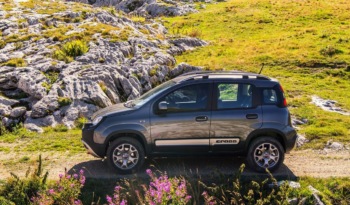 Fiat Panda pieno